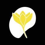 Flavus Logo
