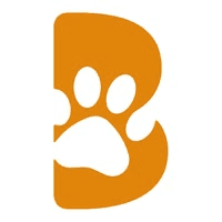 BetterBone Logo