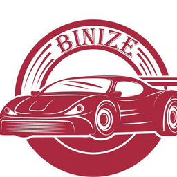 Binize Logo