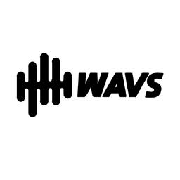 Wavs Custom Logo