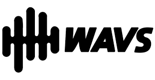 Wavs Custom Logo